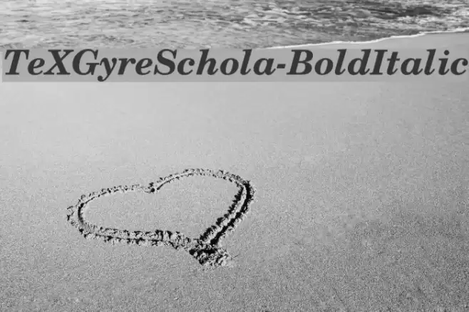 TeXGyreSchola-BoldItalic Font examples