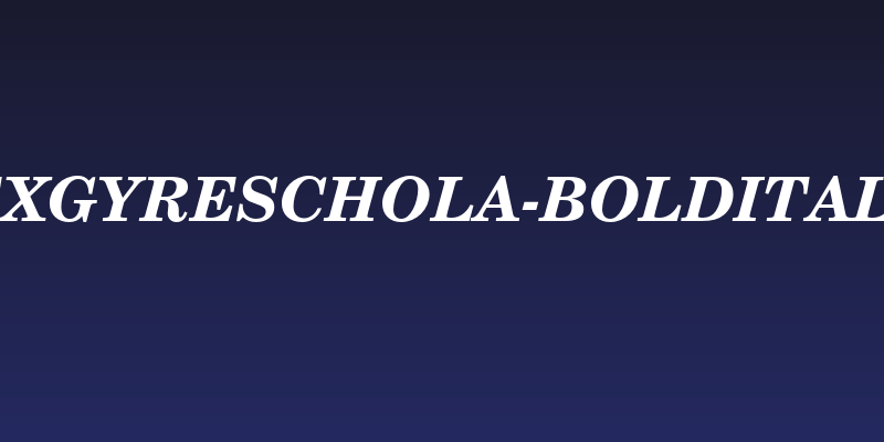 TeXGyreSchola-BoldItalic Social Header