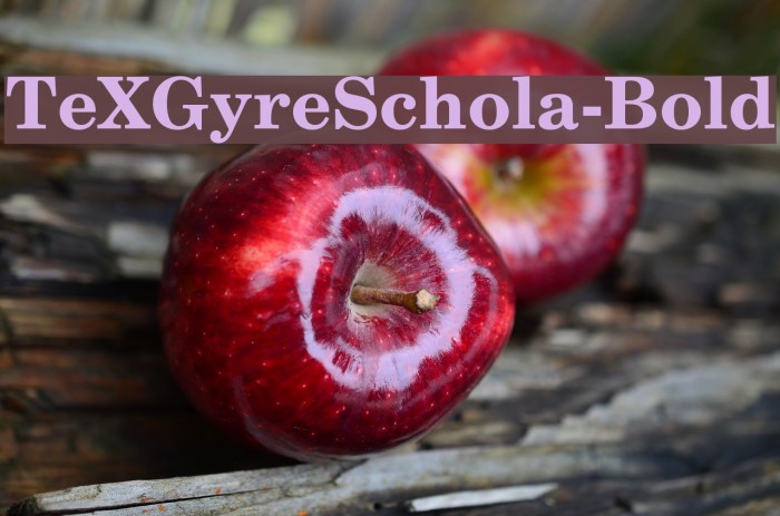 TeXGyreSchola-Bold Font examples
