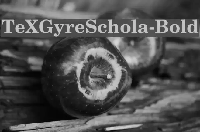 TeXGyreSchola-Bold Font examples