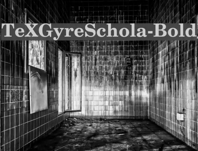 TeXGyreSchola-Bold Font examples