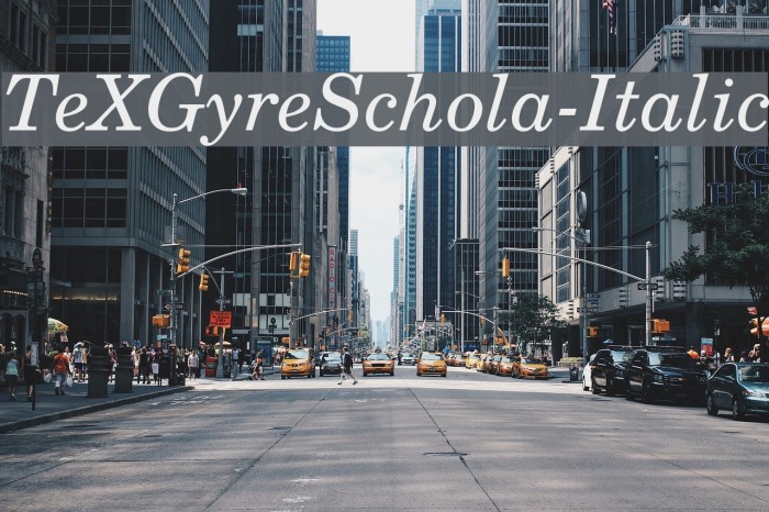 TeXGyreSchola-Italic Font examples