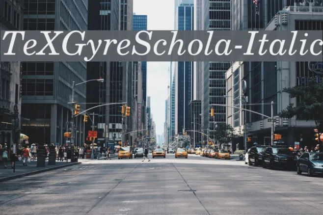 TeXGyreSchola-Italic Example 2
