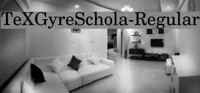 TeXGyreSchola-Regular Schriftart examples