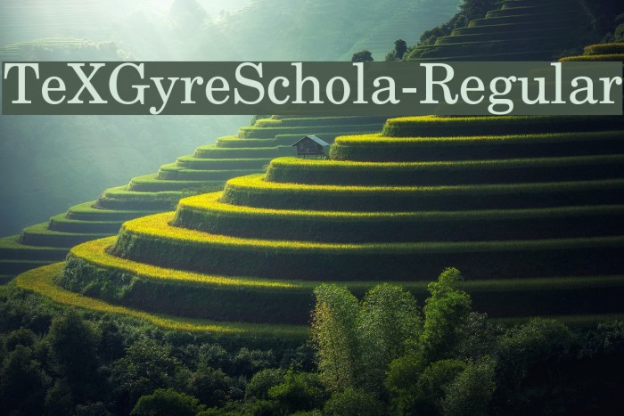 TeXGyreSchola-Regular Font examples