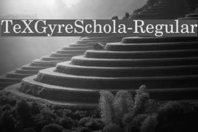 TeXGyreSchola-Regular Schriftart examples