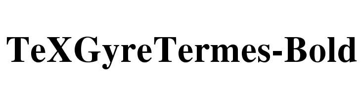 TeXGyreTermes-Bold Font