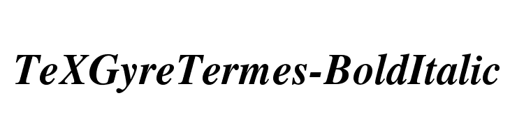 TeXGyreTermes-BoldItalic Font