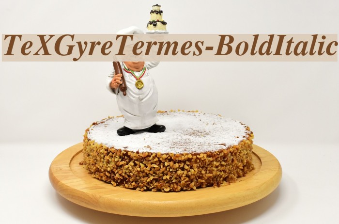 TeXGyreTermes-BoldItalic Font examples