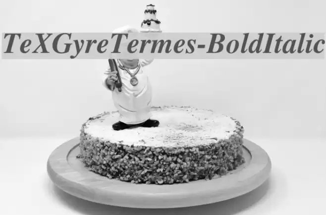 TeXGyreTermes-BoldItalic Font examples