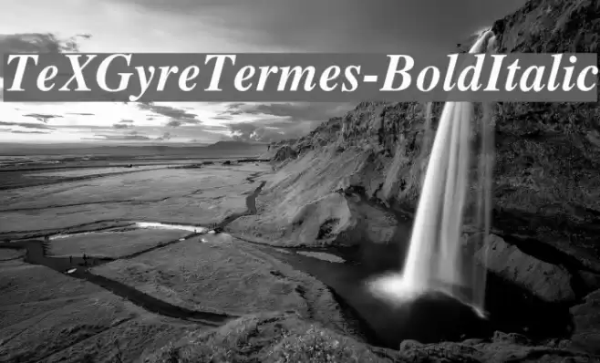 TeXGyreTermes-BoldItalic Font examples