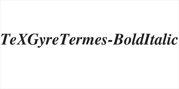TeXGyreTermes-BoldItalic Logo