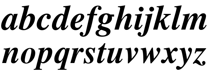 TeXGyreTermes-BoldItalic Font LOWERCASE