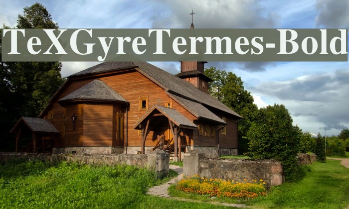TeXGyreTermes-Bold Font examples