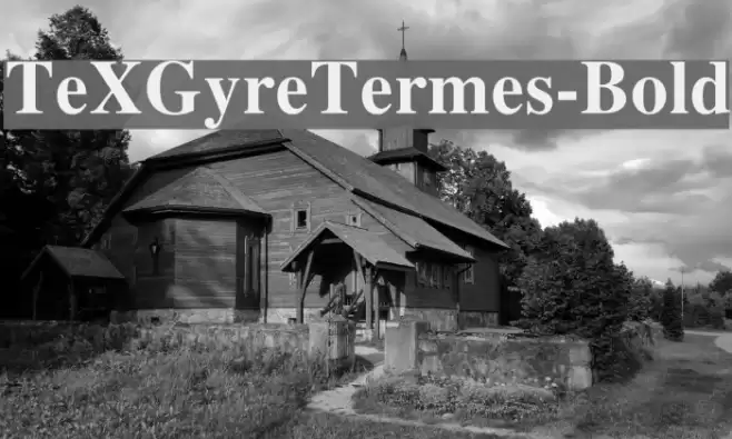 TeXGyreTermes-Bold Font examples