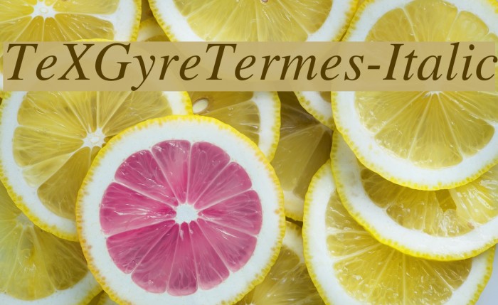 TeXGyreTermes-Italic Font examples