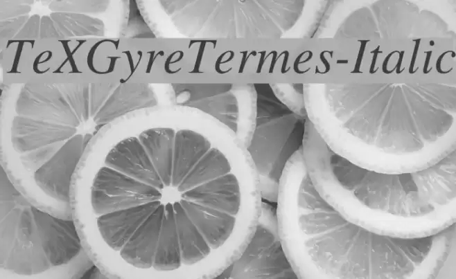 TeXGyreTermes-Italic examples