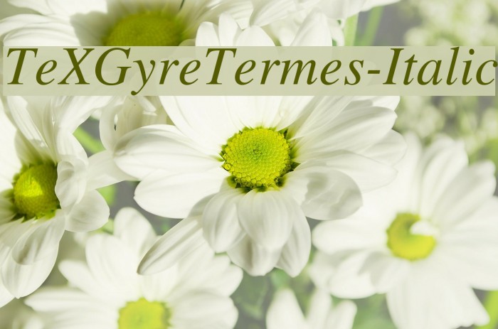TeXGyreTermes-Italic Font examples