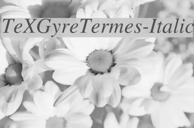 TeXGyreTermes-Italic examples