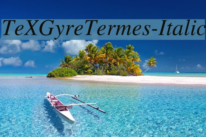 TeXGyreTermes-Italic Font examples