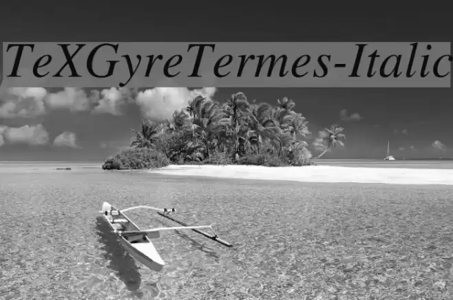 TeXGyreTermes-Italic examples