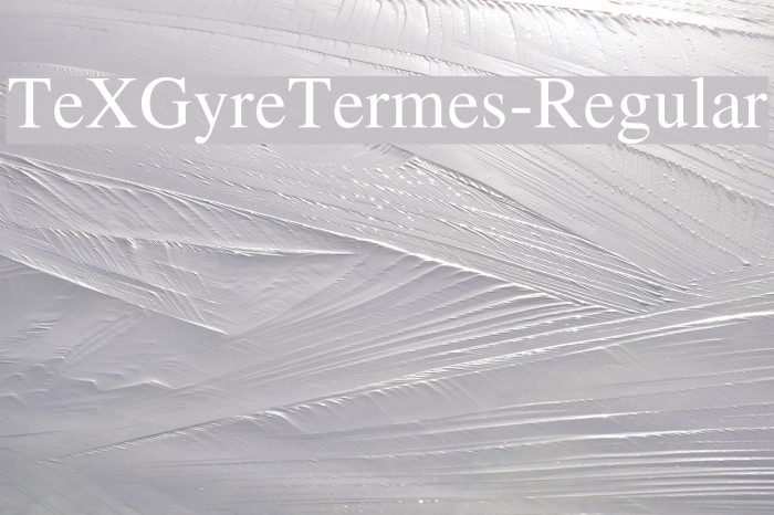 TeXGyreTermes-Regular Font examples