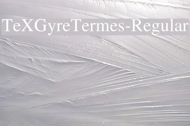 TeXGyreTermes-Regular Example 1