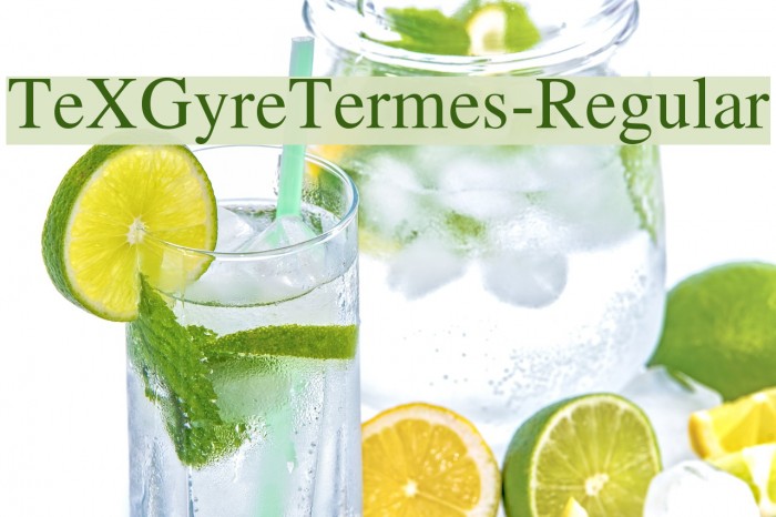 TeXGyreTermes-Regular Font examples