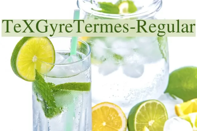 TeXGyreTermes-Regular Example 2