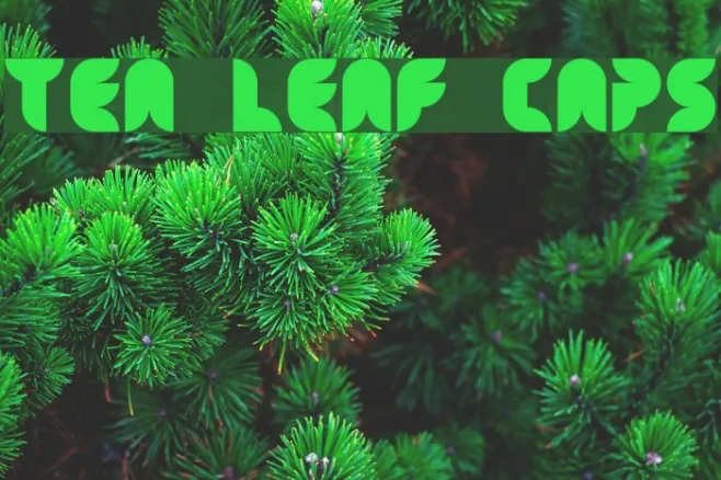 Tea Leaf Caps Example 1