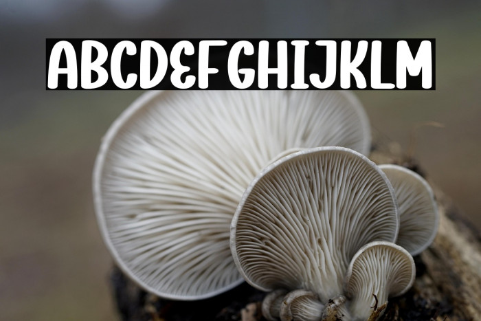 Tea Leaves Example 1