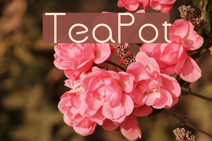 TeaPot Font examples