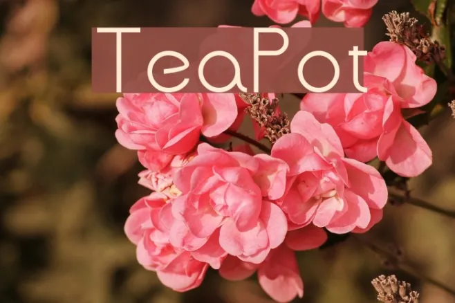 TeaPot Example 2