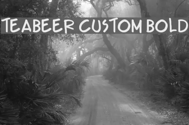 Teabeer Custom Bold Font examples