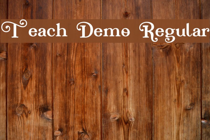 Teach Demo Regular Font examples
