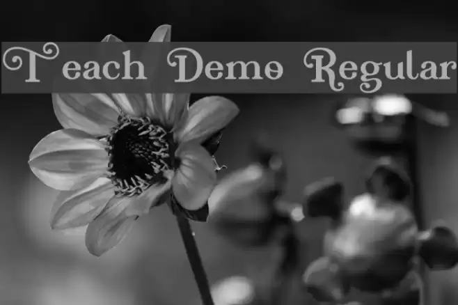Teach Demo Regular Font examples