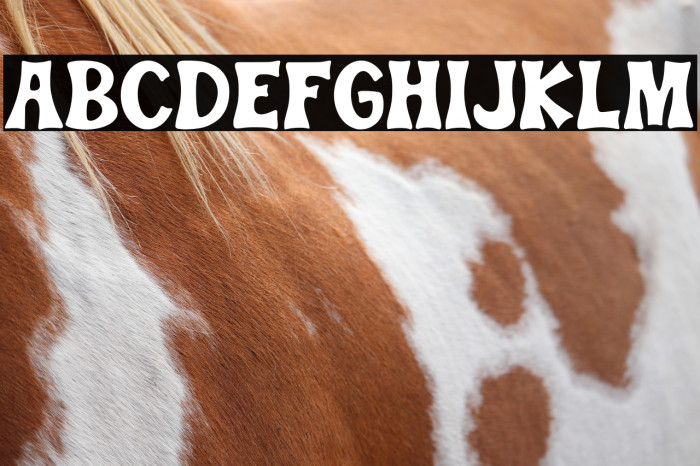 Teacher School Regular Example 2