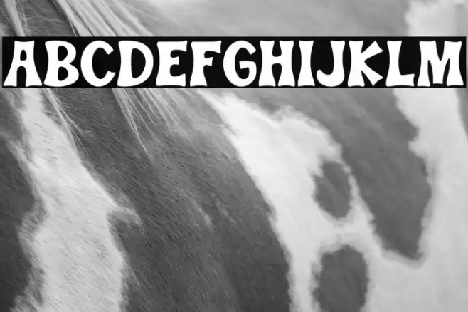 Teacher School Regular Schriftart examples