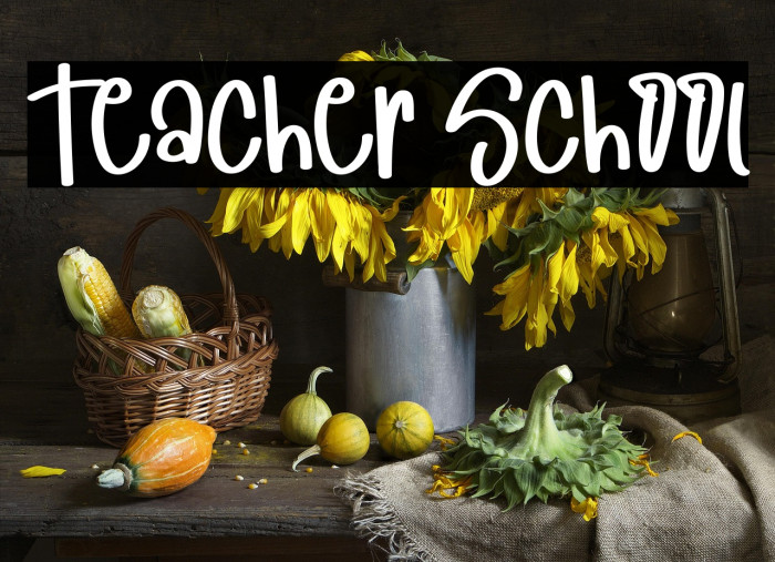 Teacher School Example 2