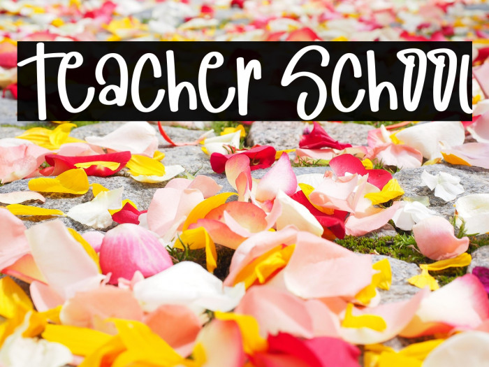 Teacher School Example 3