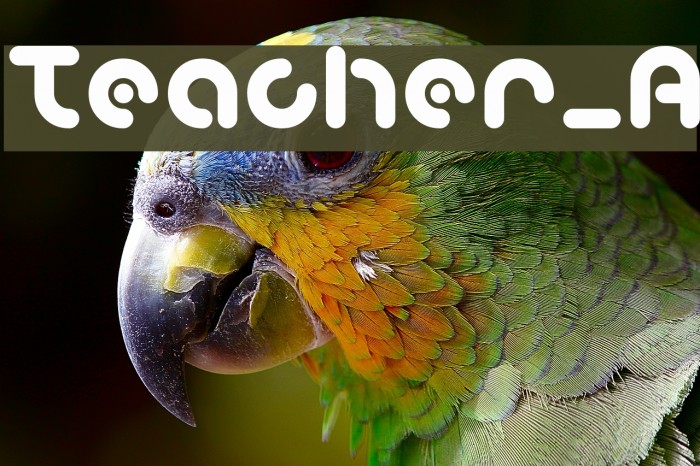 Teacher_A Font examples