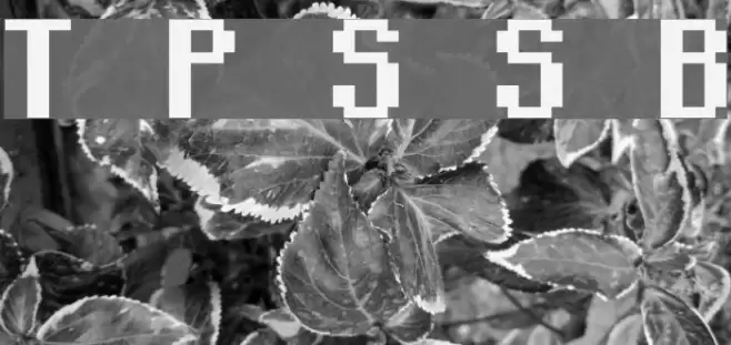 Teachers Pet Sans Serif Bold Font examples