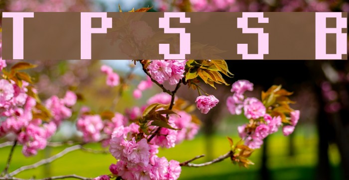 Teachers Pet Sans Serif Bold Шрифта examples