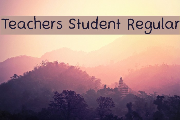 Teachers Student Regular Font examples