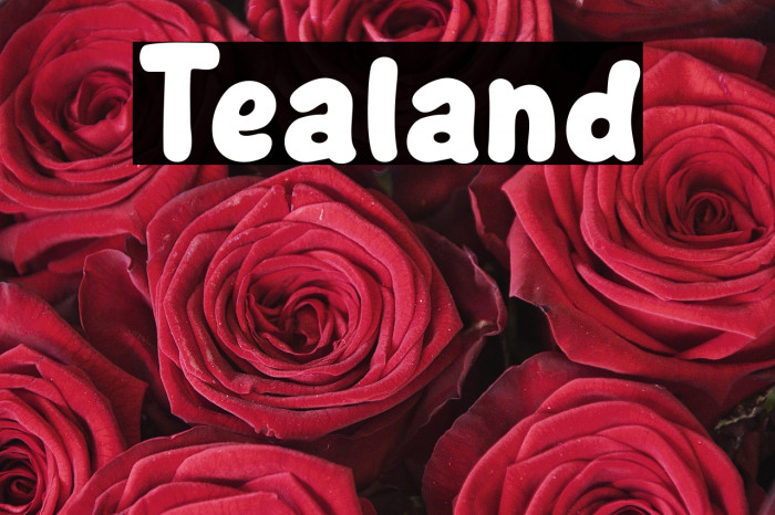 Tealand Example 1