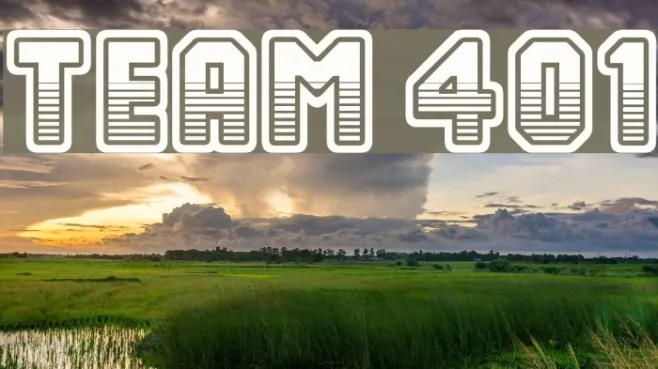 Team 401 Example 1