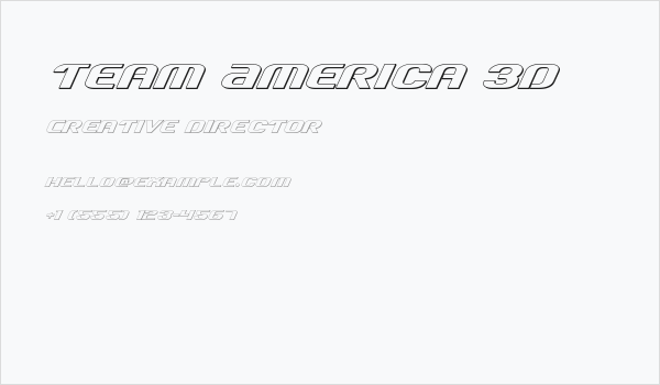 Team America 3D Business Card