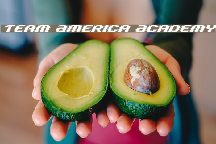 Team America Academy Font examples