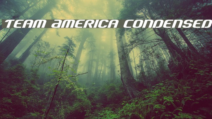 Team America Condensed Font examples