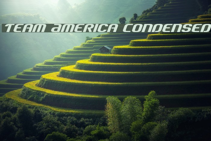Team America Condensed Font examples